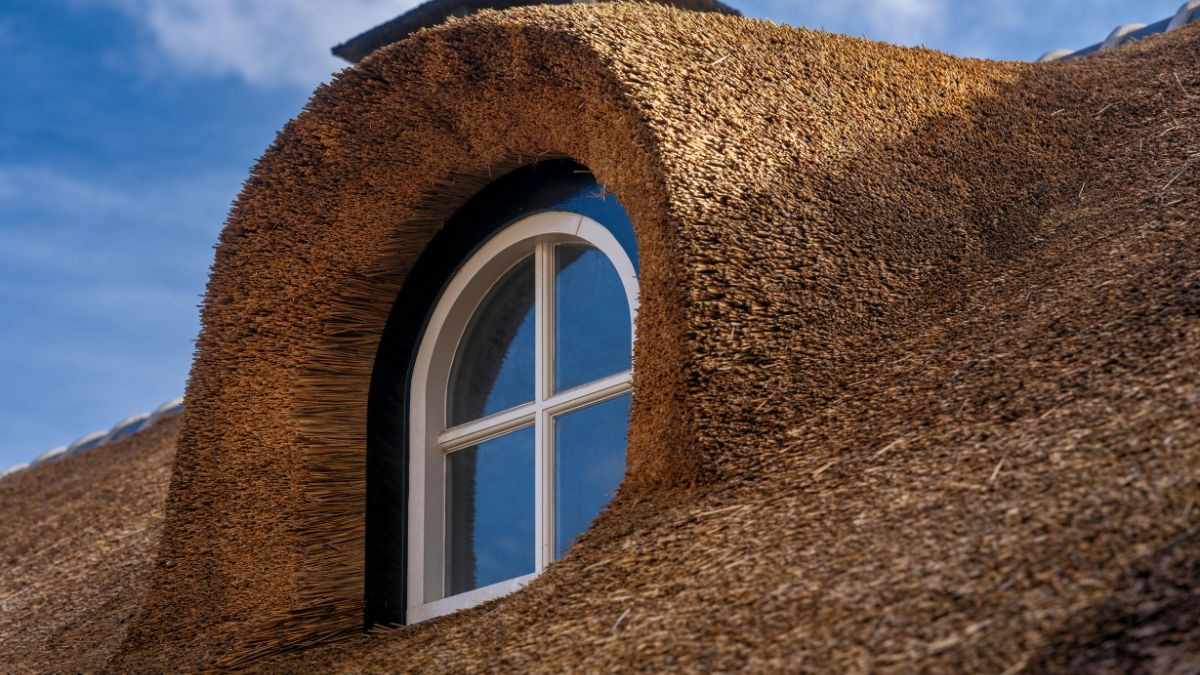 Ronde dakkapel met wit houten raamkozijn ingewerkt in een strak afgesneden rieten dak bij helder blauw weer