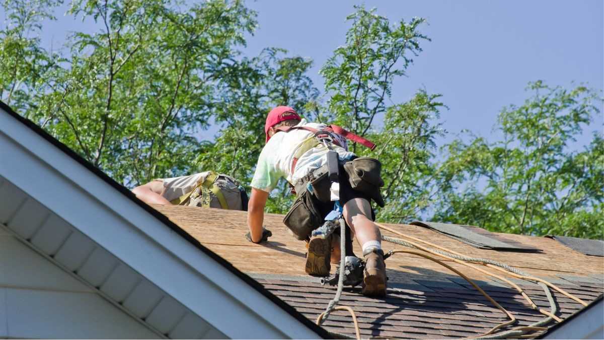 Dakwerker met veiligheidsharnas en gereedschapsriem repareert de bedekking op een hellend dak bij zonnig weer