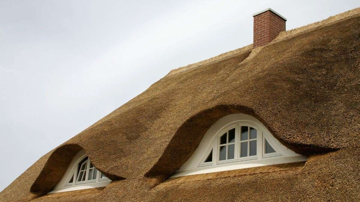 Hellend dak met rietbedekking, twee ronde dakkapellen en een bakstenen schoorsteen op een landelijke woning
