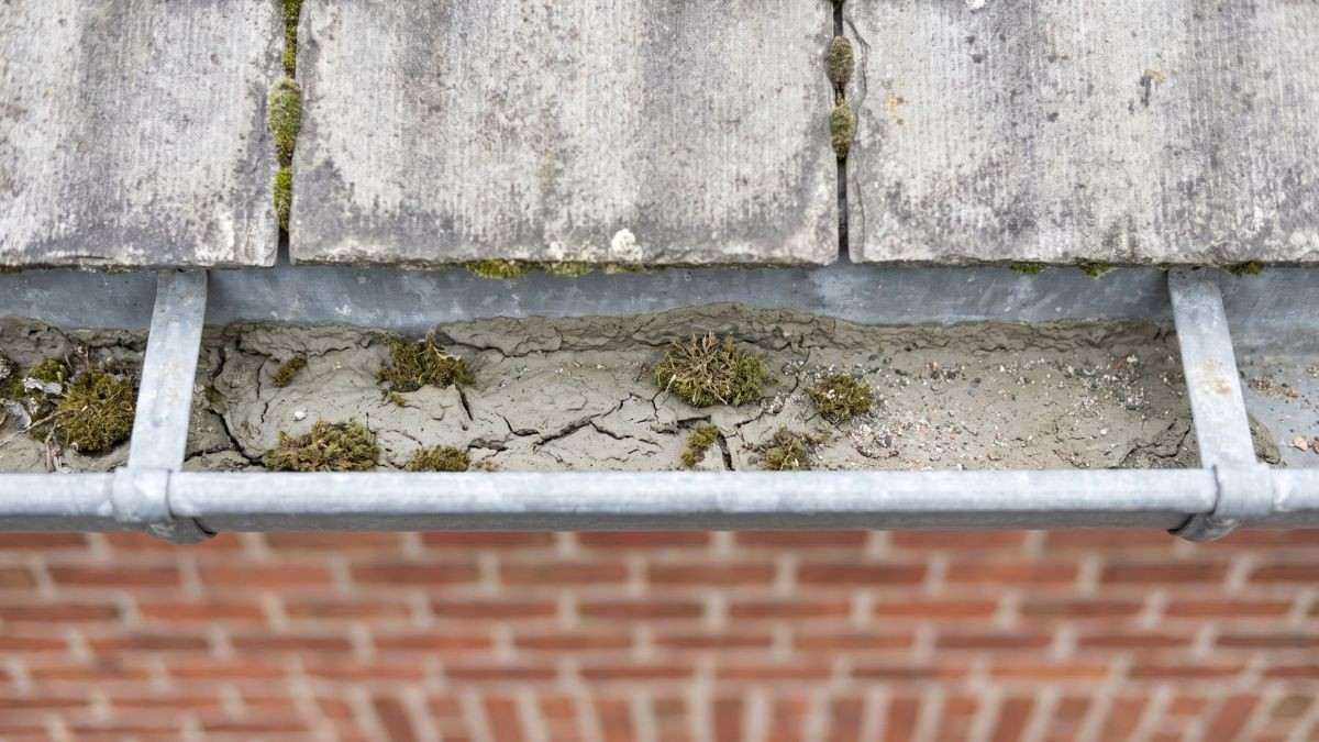 Dakgoot met opgedroogd slib en mos onder een leien dak met asbest, waar vrijgekomen vezels zich na elke regenbui ophopen