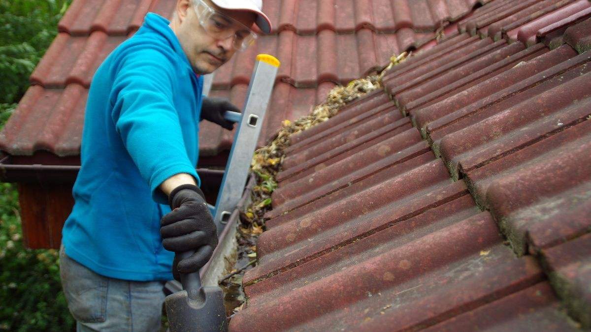 Dakspecialist met veiligheidsbril staat op een ladder en schept bladeren uit de goot tijdens het dakgoot reinigen