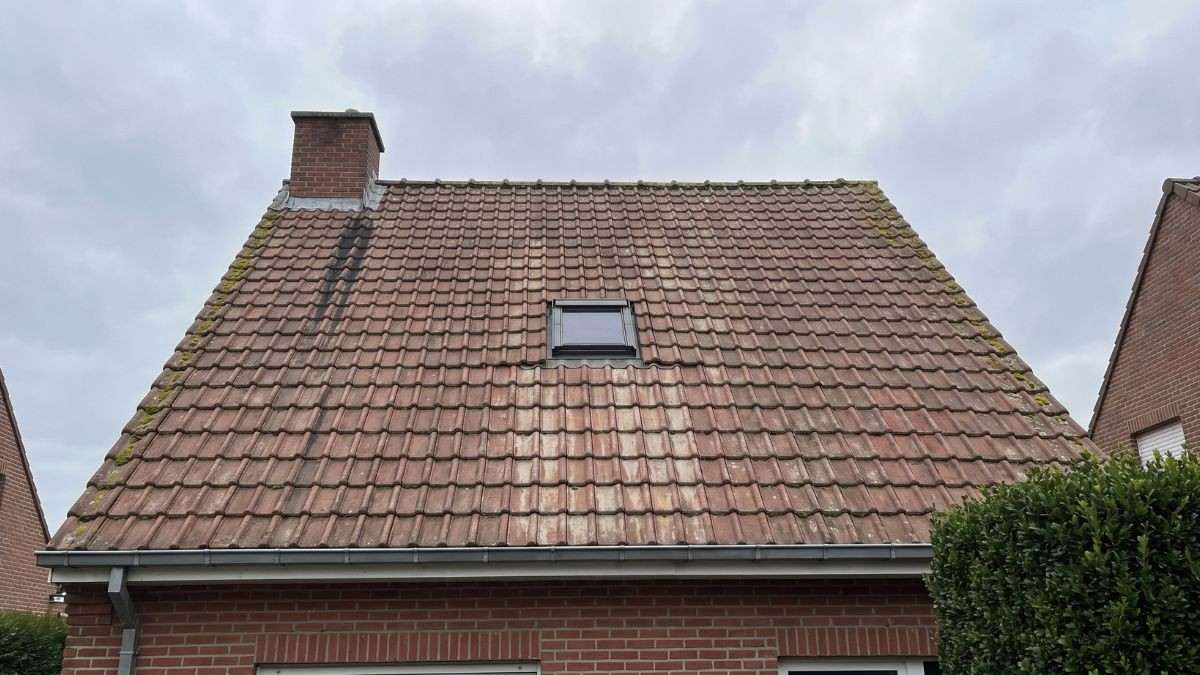 Voor de behandeling, een hellend pannendak met verweerde roodbruine dakpannen, groene mosranden en donkere vochtstrepen